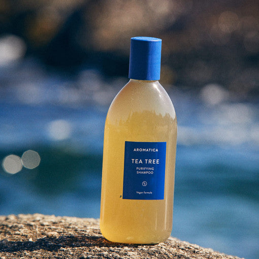 AROMATICA Tea Tree Purifying Shampoo Available on Seoulbazaar, your online store for trendy korean products.