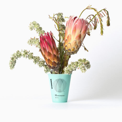 HARUHARU Honey Green Aqua Bomb Cream 90g Available on Seoulbazaar, your online store for trendy korean products.