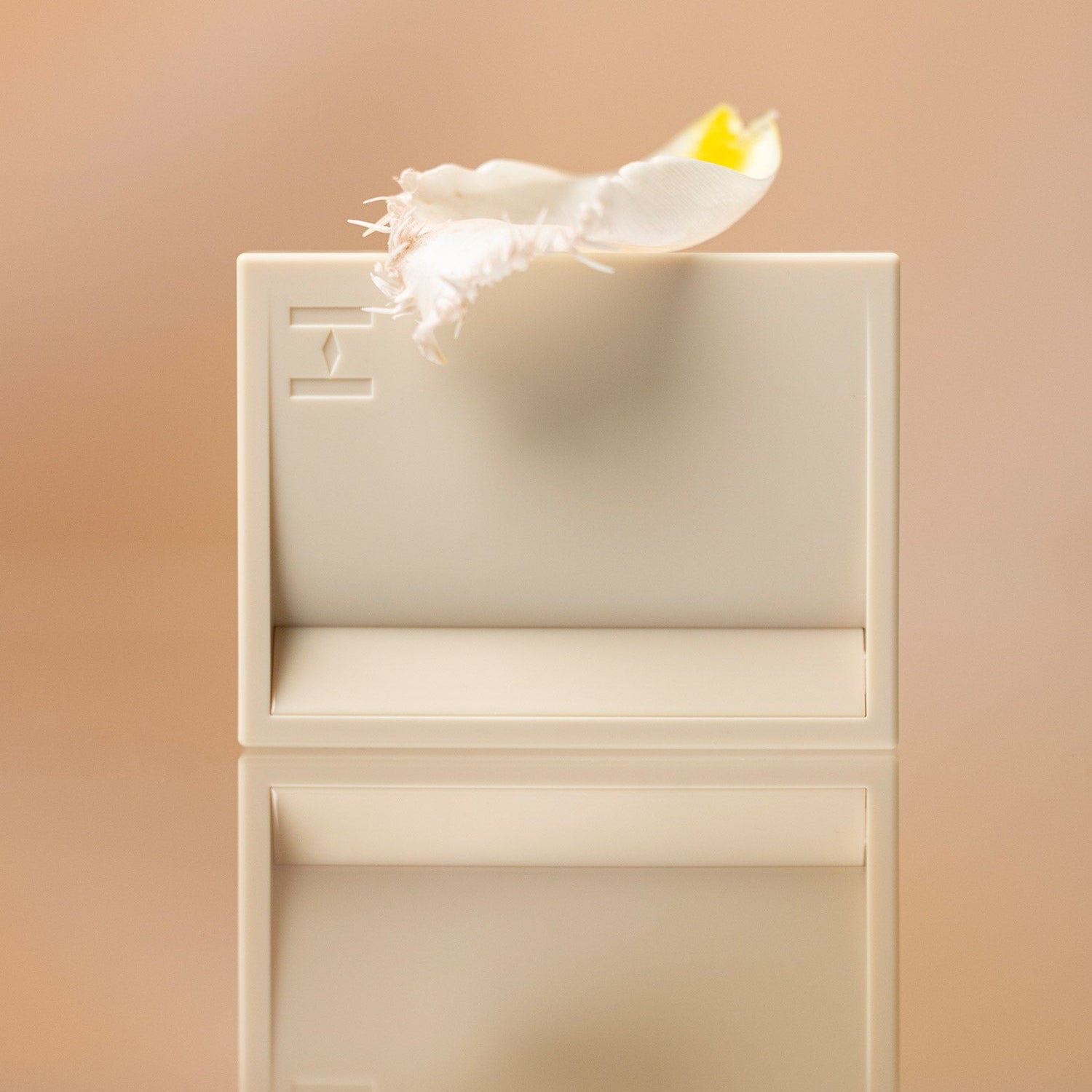 HINCE True Dimension Layering Cheek product packaging with minimalist design and flower accent, enhancing beauty and style.